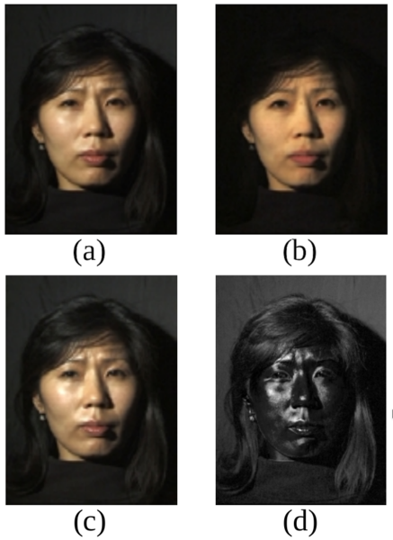 File:Deb2000-reflectance-separation-2-rows.png